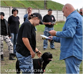 Чемпионат Украины по программе Собака обеспечения общественной безопасности (СООБ) 2012